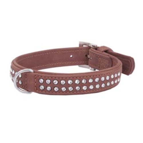 Dog Collars
